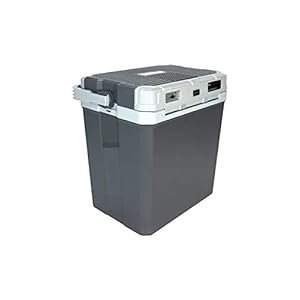 Electric Portable Cooler and Warmer with Handle
