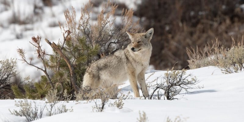 Discover the wildlife while hiking