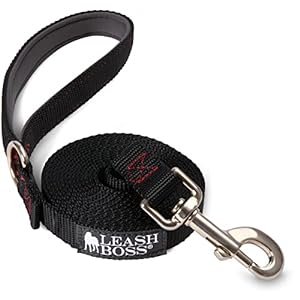 Leashboss 10 Foot Dog Leash with Padded Handle