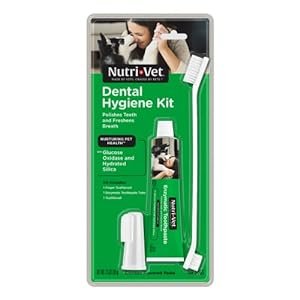 Nutri-Vet Dental Hygiene Kit for Dogs with Toothbrush