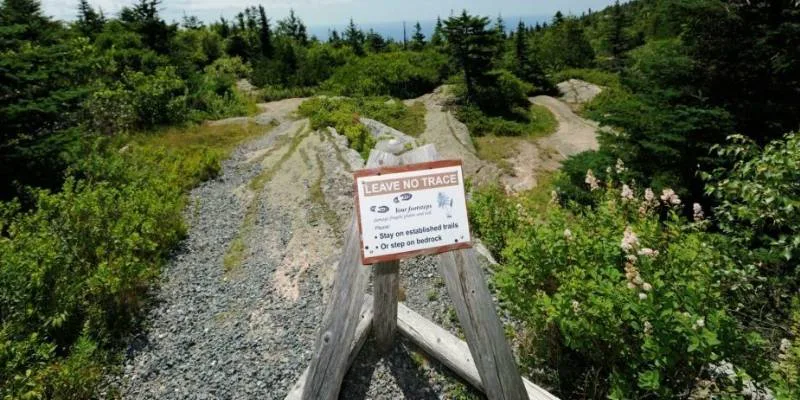 Hikers respecting nature by keeping trail clean and leaving no waste behind