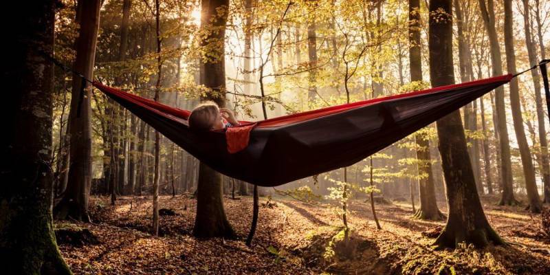 How to hang Hammock