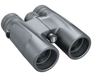 Bushnell Powerview 10×42