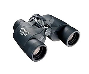 Olympus 8×40 DPS-I Binoculars for hiking