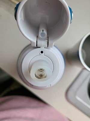 Showing filter inside the bottle