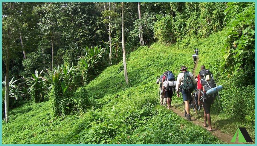 Kokoda track PNG