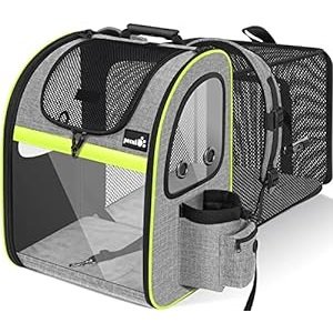 Pecute G-1 Pet Carrier Backpack