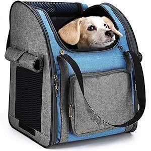 HAPPY HACHI Dog Backpack Carrier