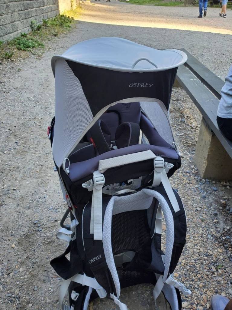 Best Hiking Baby Carrier Buying Guide