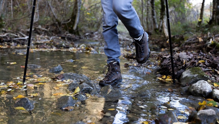 Best Waterproof Hiking Shoes
