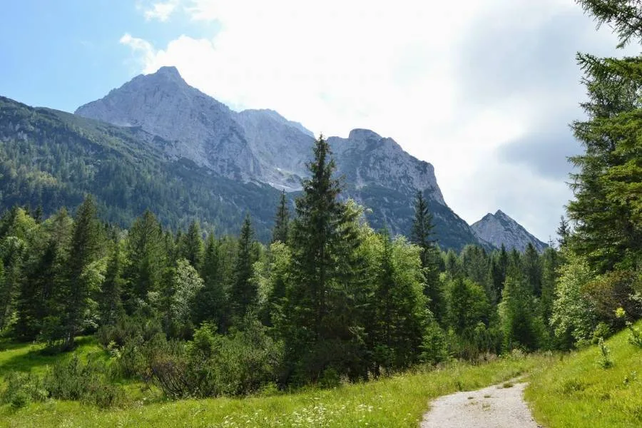 Hiking in Summer: Essential Tips and Guide