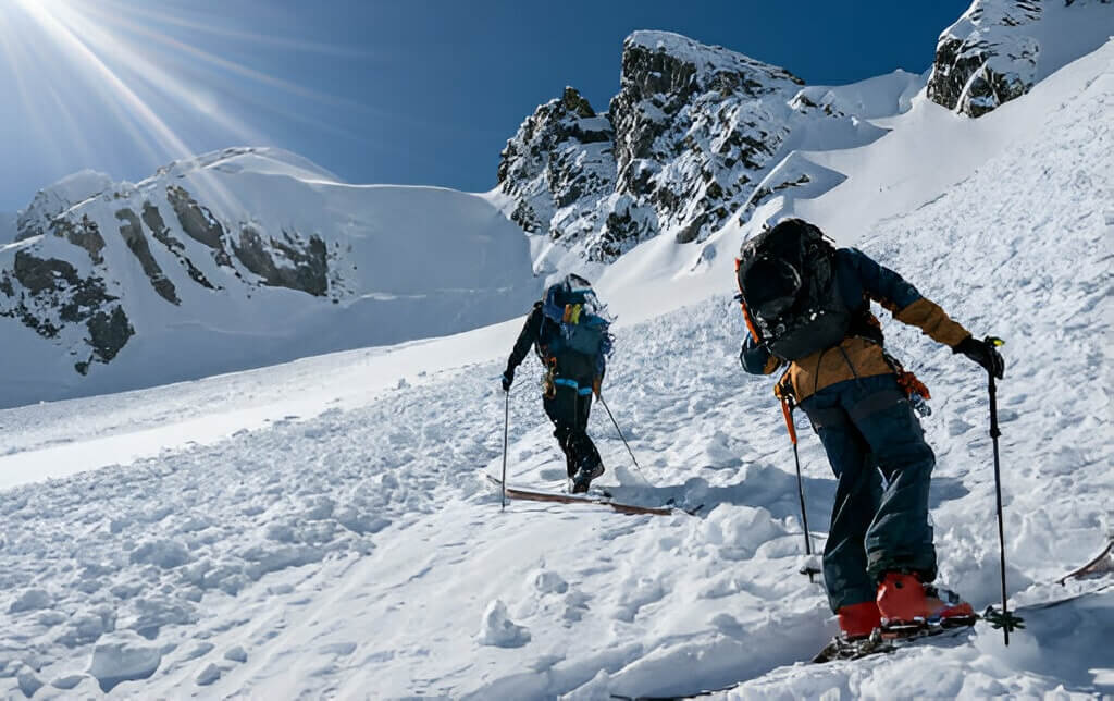 Best Backcountry Ski Poles