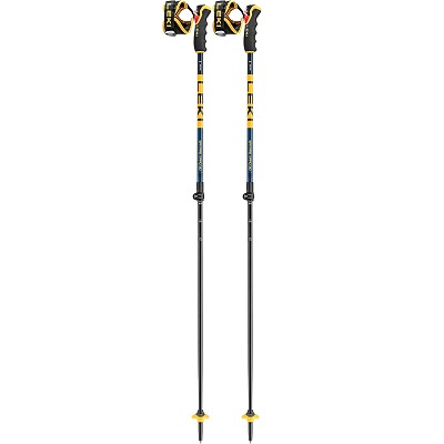 Leki Tour Vario Backcountry Ski Poles for the money