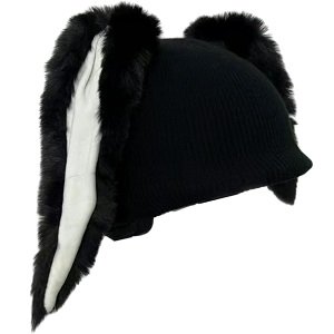 Colaxi Ski Helmet Cover